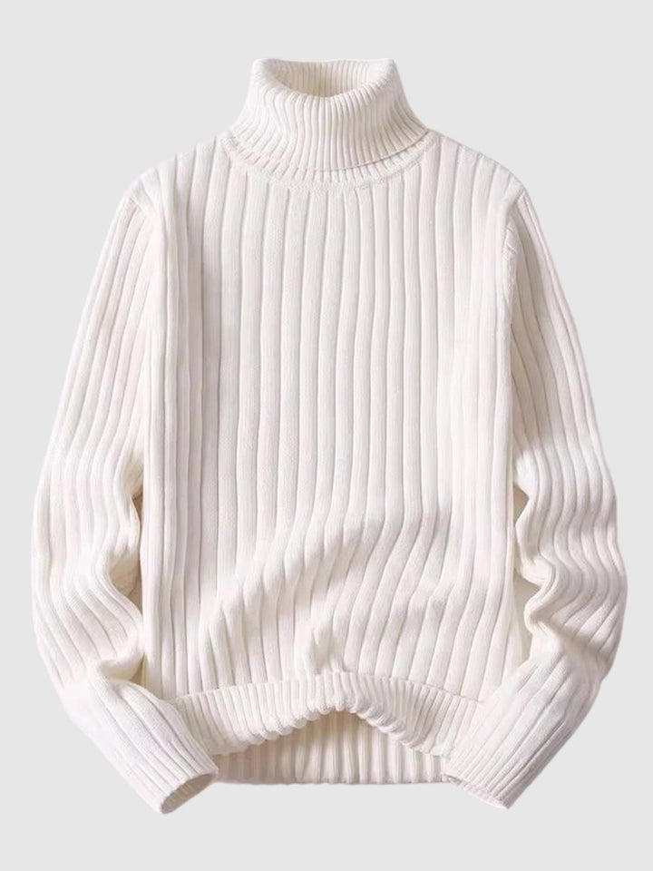 Elvin | Men’s high-neck cotton knit sweater with a clean seasonal silhouette