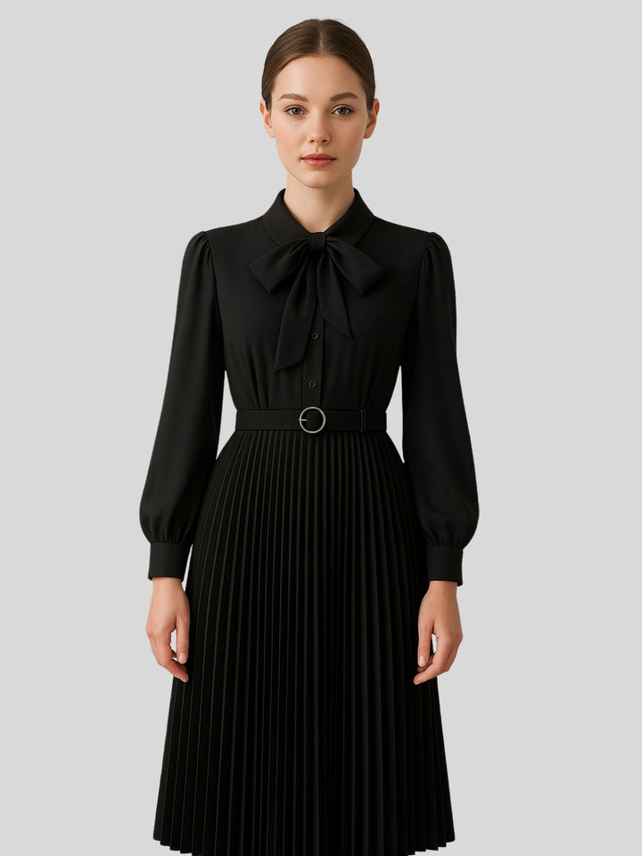 Beatrix | Women’s pleated A-line dress with irregular hem and slim fit